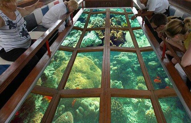 A Glass Bottom Boat Trip