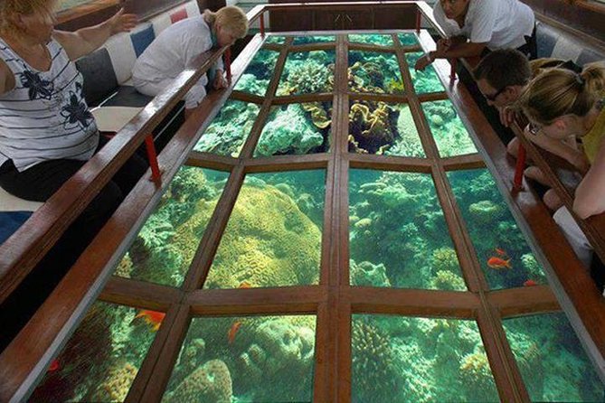 A Glass Bottom Boat Trip