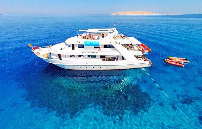 Snorkeling trip on Tiran Island