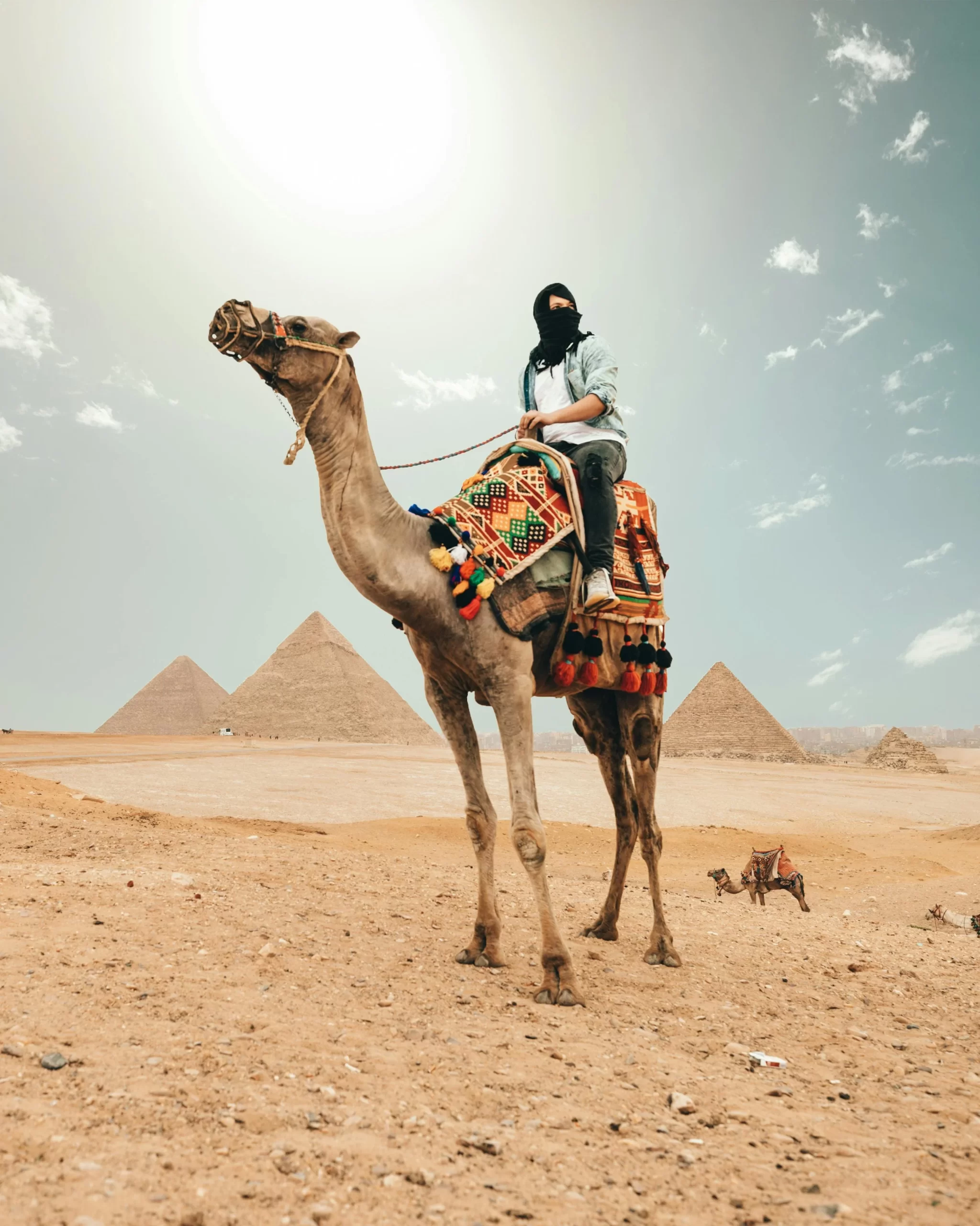 can you tour the pyramids of giza