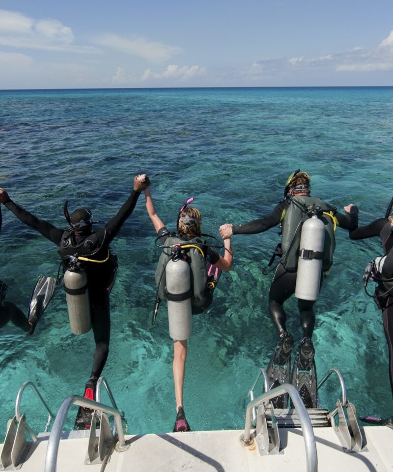 Diving Trip in Ras Mohammed