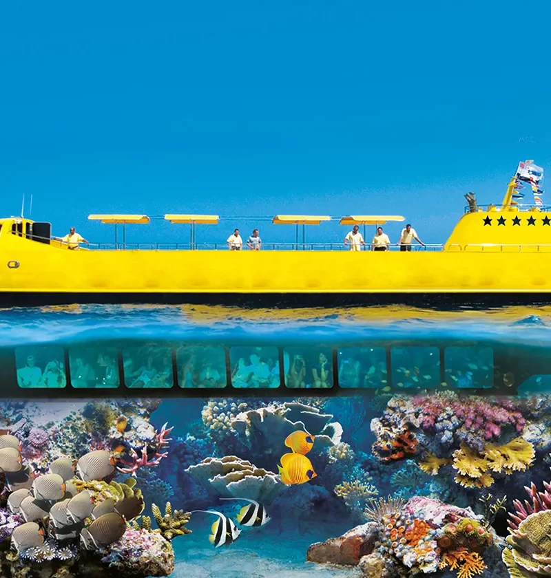 Sharm El Sheikh submarine cruise