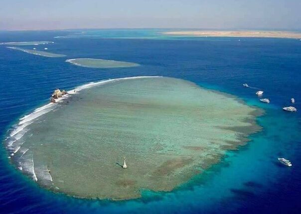 White Island Trip And Ras Mohammed