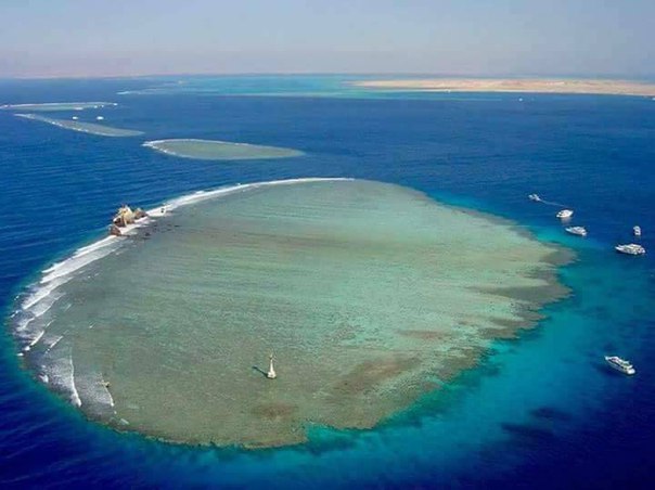 White Island Trip And Ras Mohammed