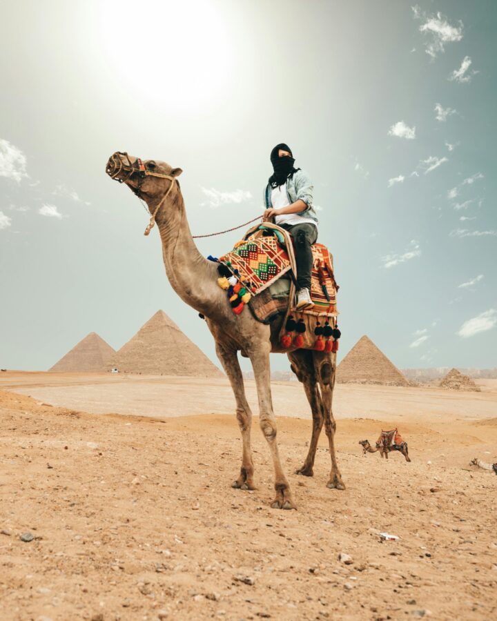 Egypt Tour Guides