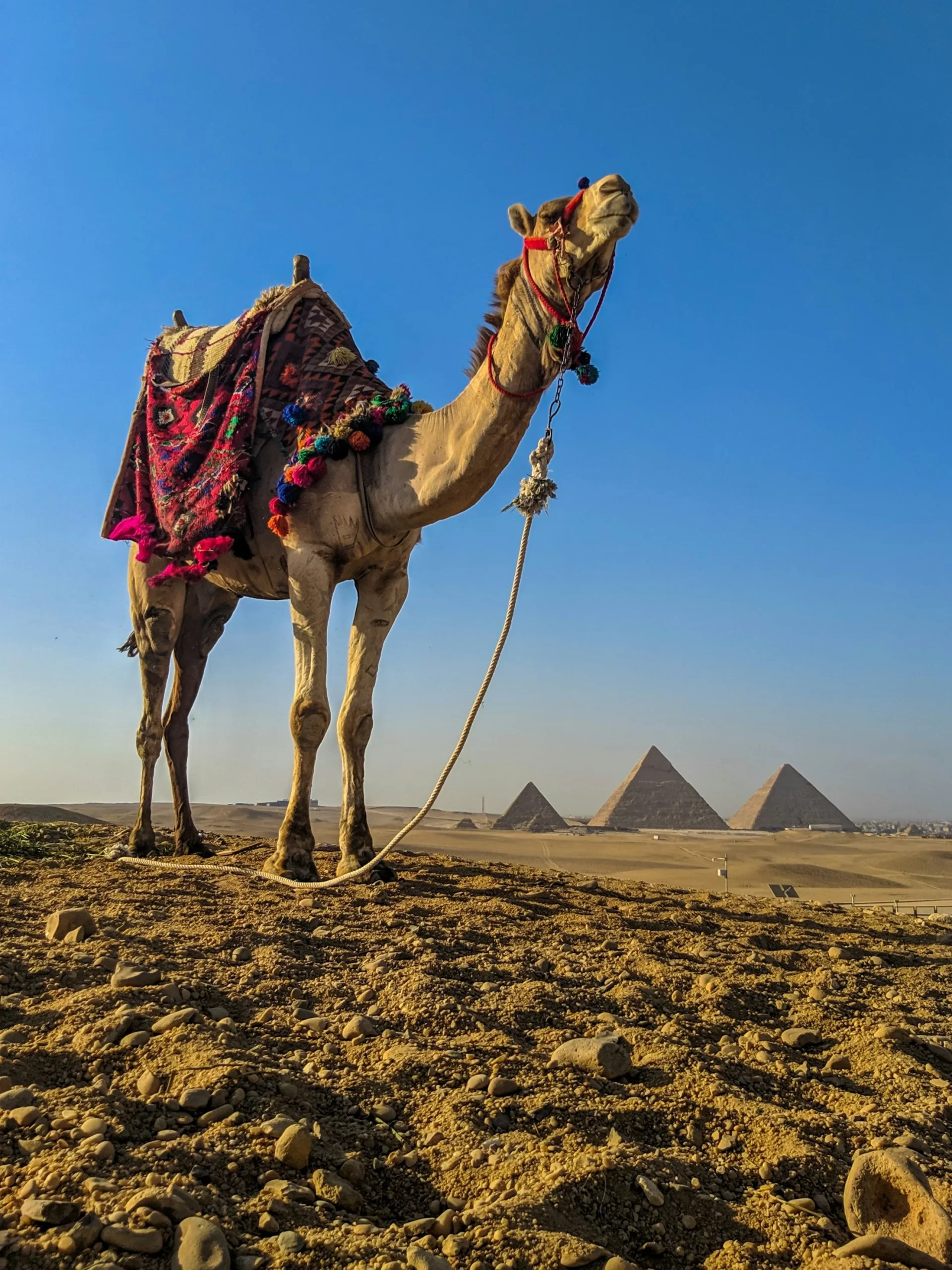 full day tour to giza pyramids memphis and sakkara