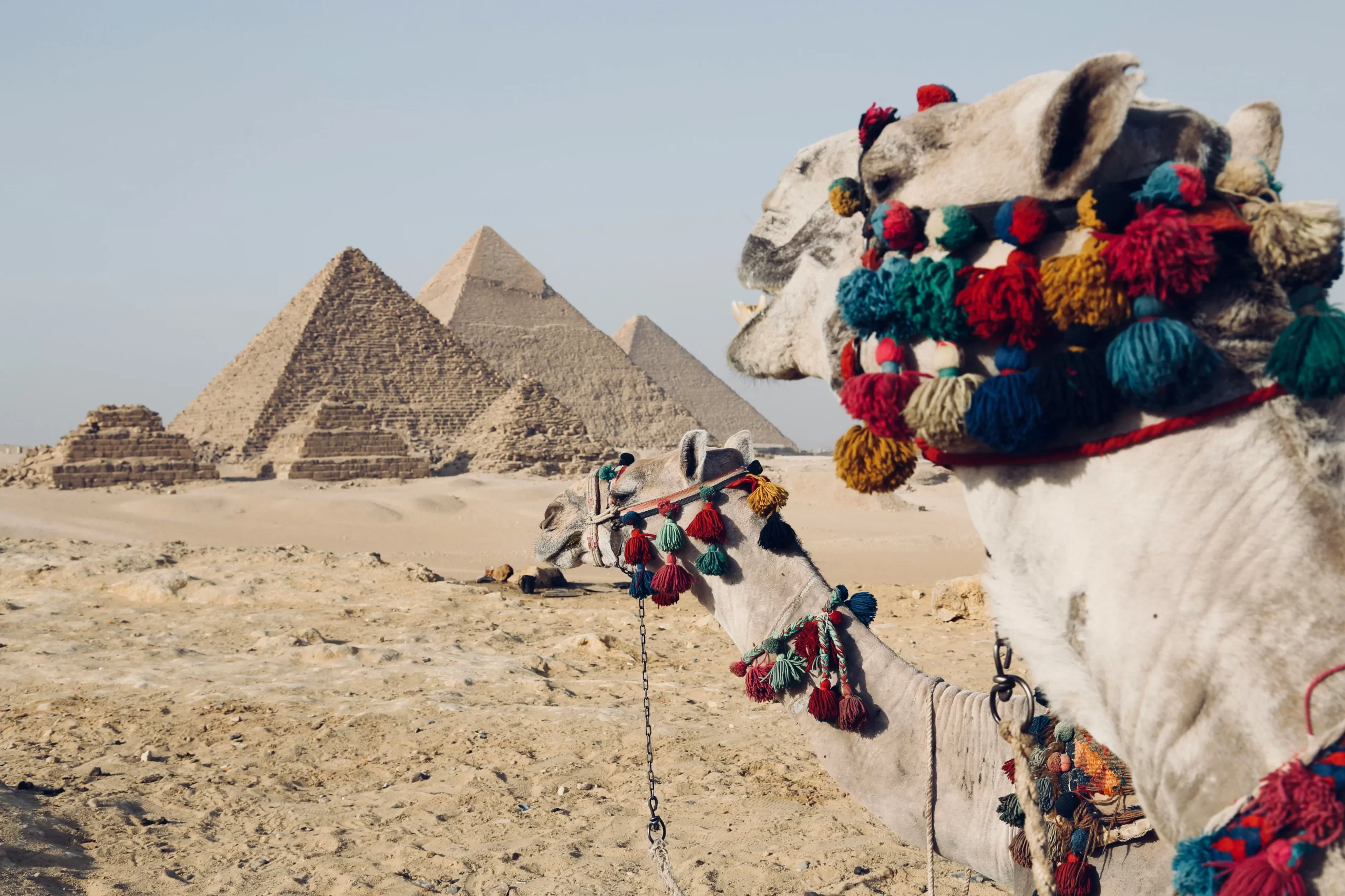 Cairo Trip to Pyramids 